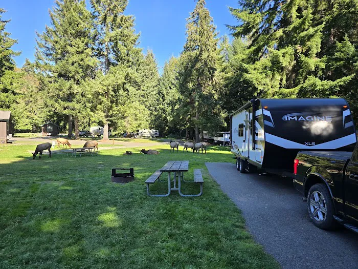 Dosewallips State Park Campground Picture 3