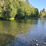 Dosewallips State Park Campground