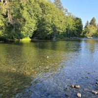 Dosewallips State Park Campground ico