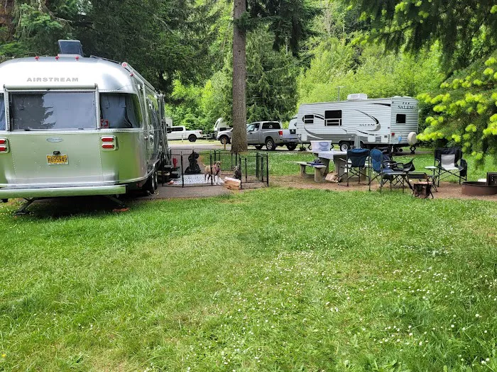 Dosewallips State Park Campground Picture 8
