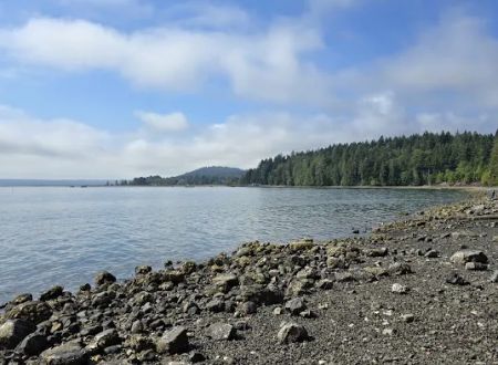 Seal Rock Campground