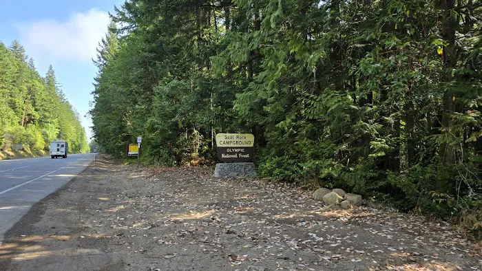 Seal Rock Campground Picture 4
