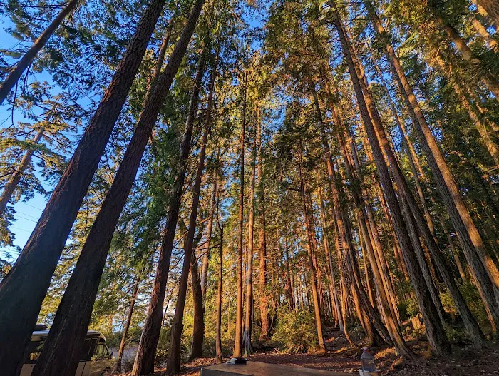 Seal Rock Campground Picture 7