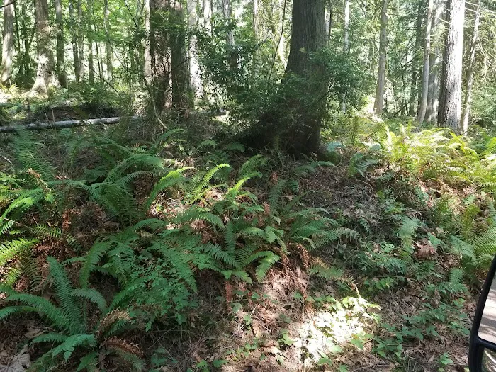 Seal Rock Campground Picture 6