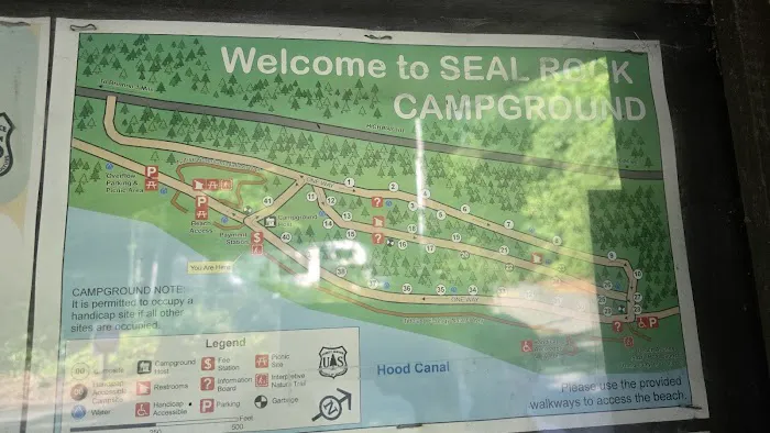 Seal Rock Campground Picture 10