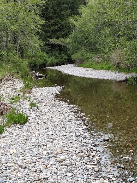 Camp Spillman Picture 1