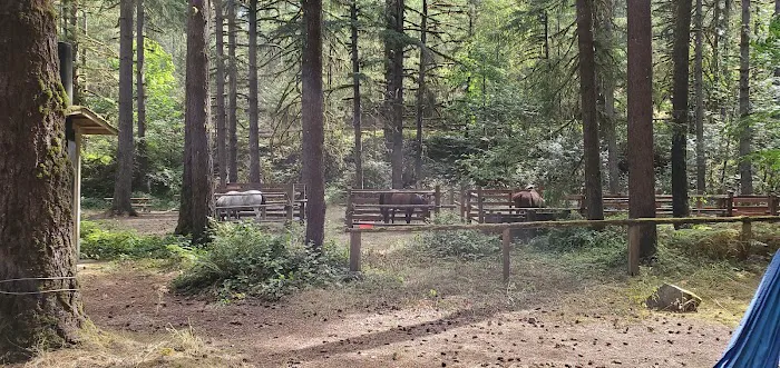 Camp Spillman Picture 7