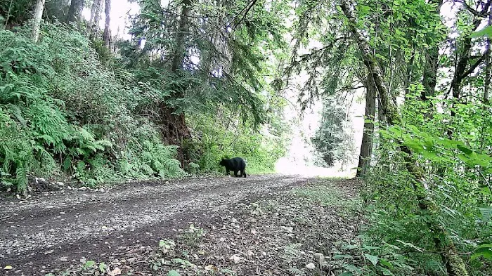 Dean's Campground Picture 6