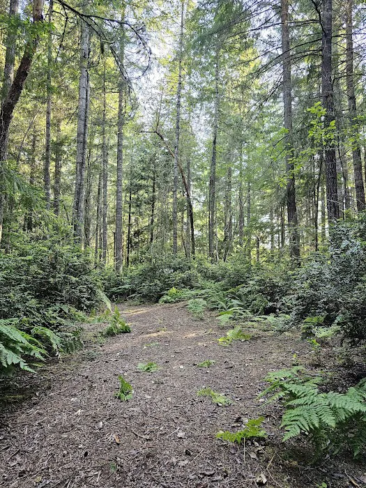 SoundLand Picture 5