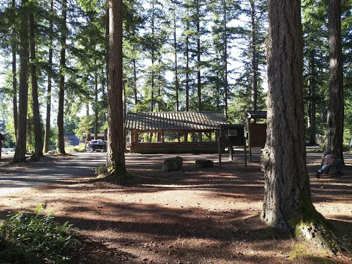 Quilcene Campground Picture 3