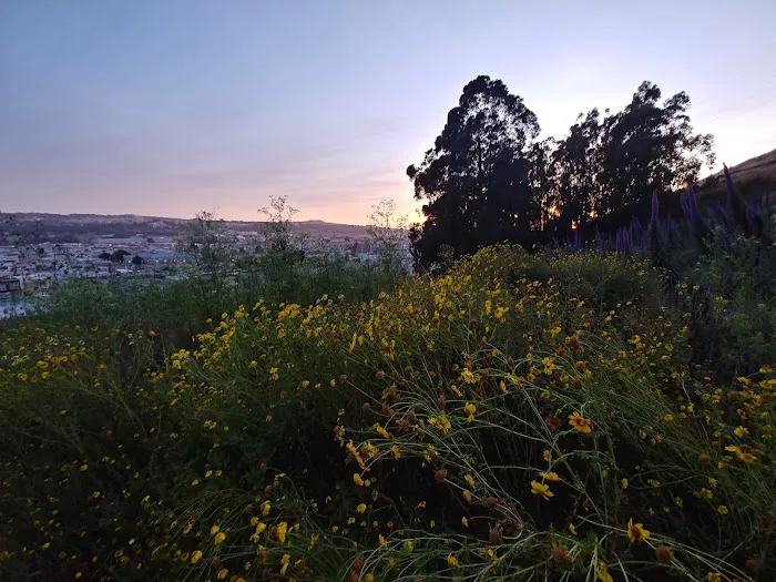 The Franciscan Park Picture 6