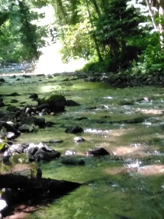 Wildwood River Camp Picture 1