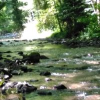 Wildwood River Camp ico