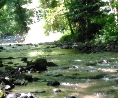 Wildwood River Camp