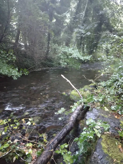 Wildwood River Camp Picture 2