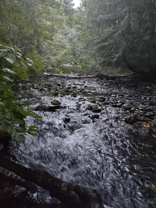Wildwood River Camp Picture 4