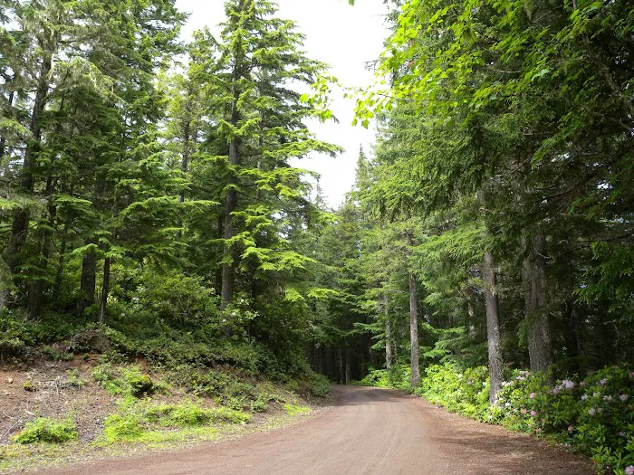 Falls View Campground Picture 4