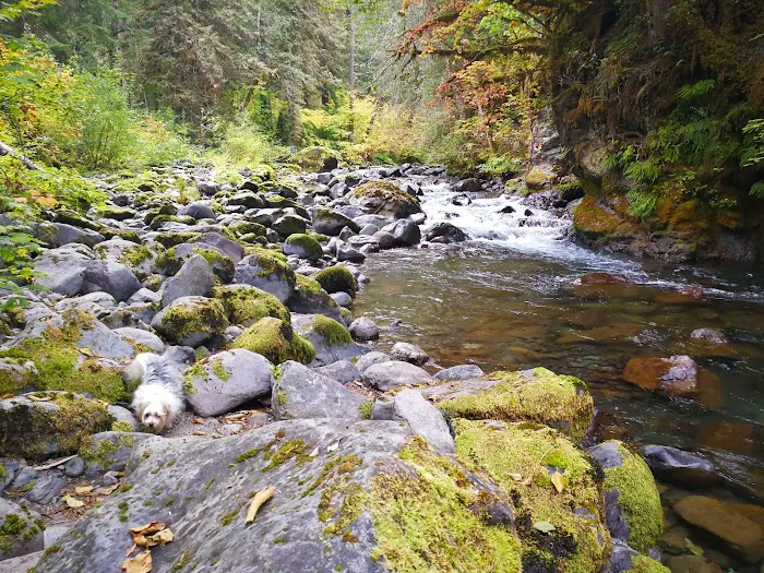 Falls View Campground Picture 6