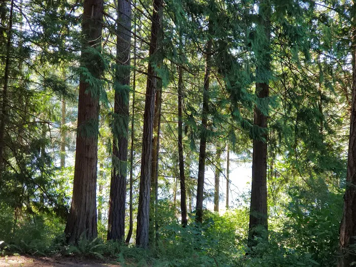 Leland Lake Campground Picture 5
