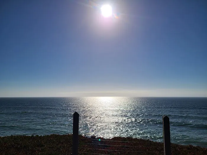 San Francisco RV Resort Picture 8