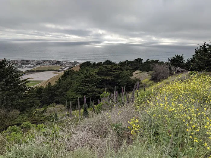 Pacific Skies Estates Picture 4