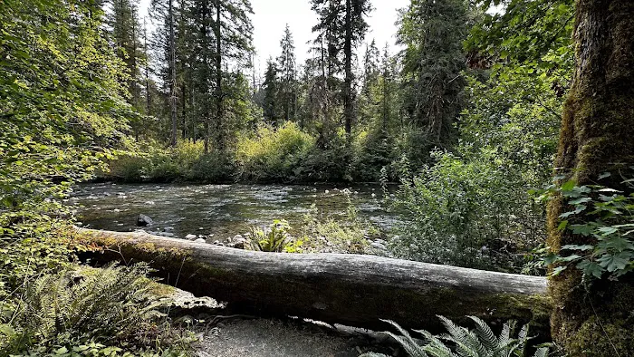 Collins Campground Picture 2