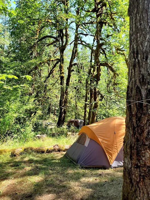 Collins Campground Picture 6