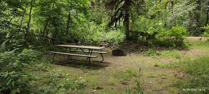 Collins Campground Picture 10