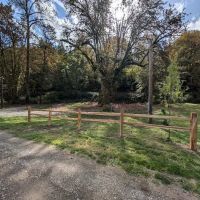 Hollow Tree Hideaway ico