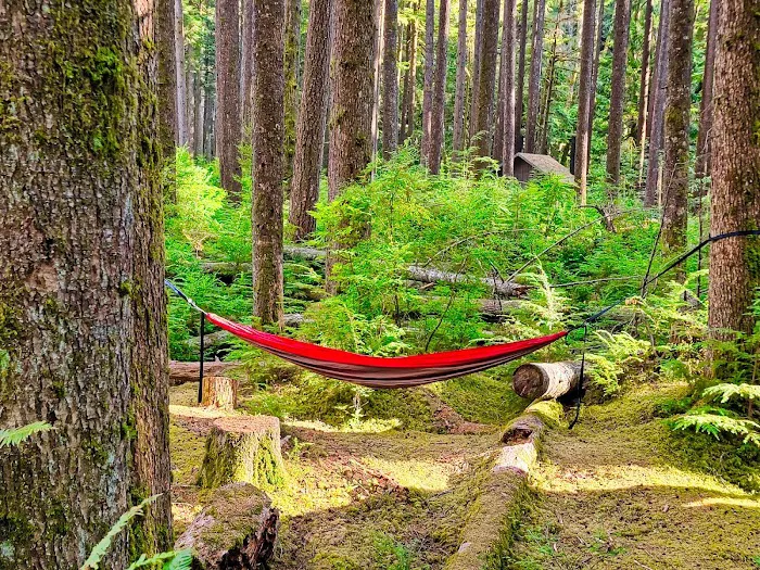 Middle Fork Campground Picture 3