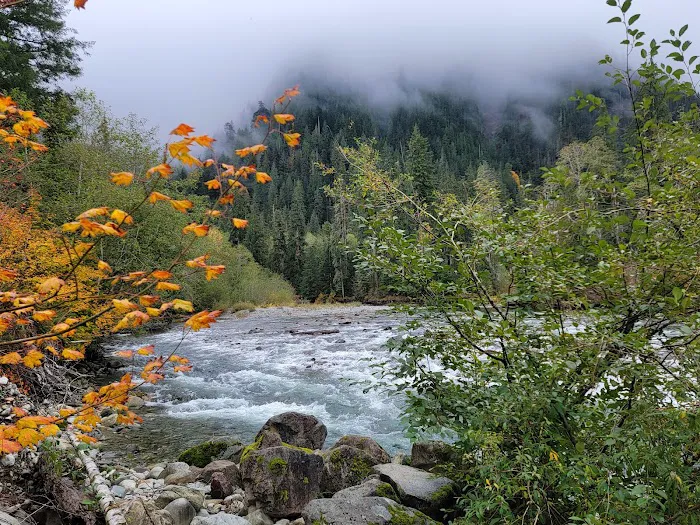 Middle Fork Campground Picture 1