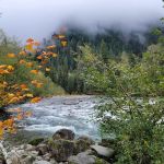 Middle Fork Campground