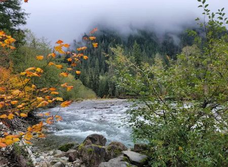 Middle Fork Campground