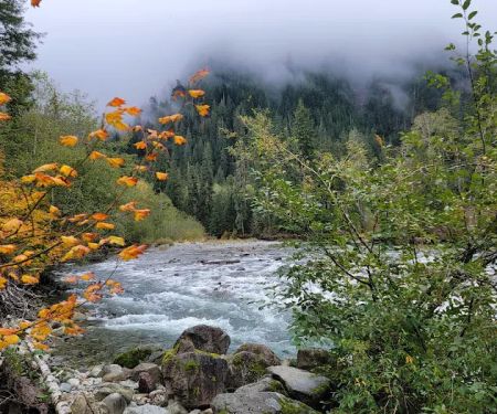 Middle Fork Campground