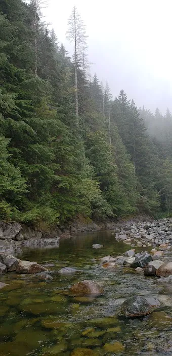 Middle Fork Campground Picture 8