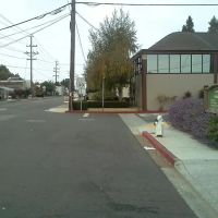 Belmont Trailer Park ico