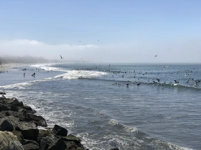 Pillar Point RV Park Picture 6