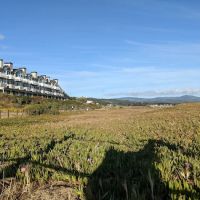 Pillar Point RV Park ico
