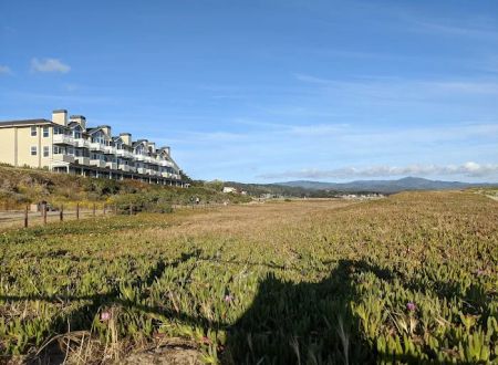 Pillar Point RV Park