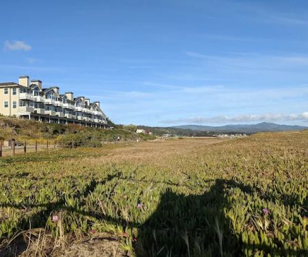 Pillar Point RV Park