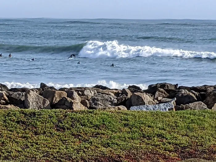 Pillar Point RV Park Picture 3
