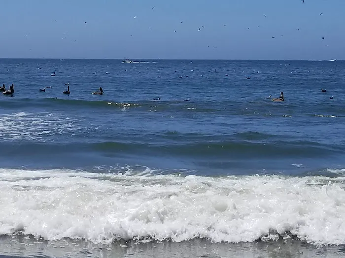 Pillar Point RV Park Picture 7