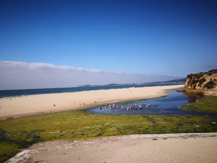 Pillar Point RV Park Picture 9