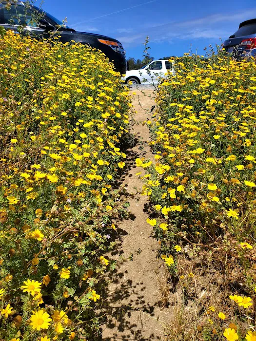 Pillar Point RV Park Picture 10