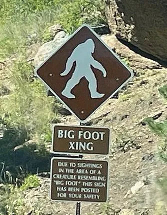 Bigfoot Safe House Picture 1