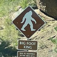 Bigfoot Safe House ico