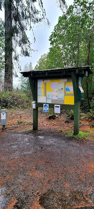 Joemma Campground Picture 6