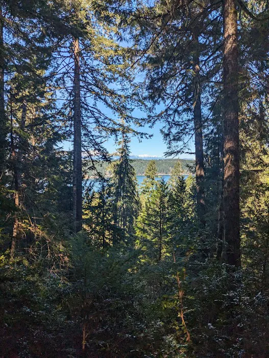 Twanoh State Park Campground Picture 6