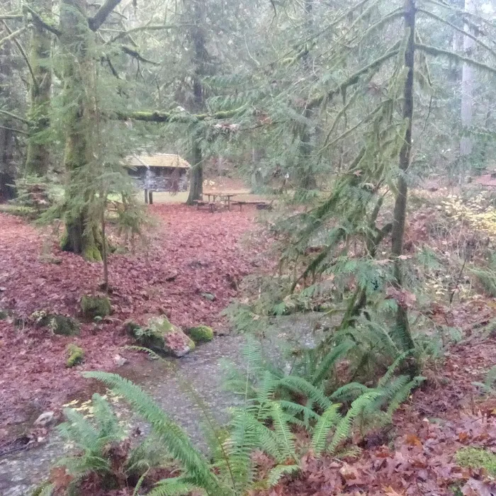 Twanoh State Park Campground Picture 9