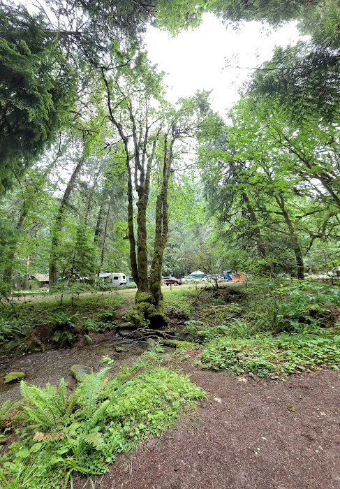 Twanoh State Park Campground Picture 10
